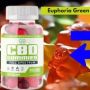 Euphoria Green CBD Gummies